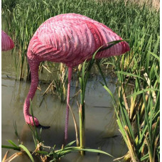 Wildcrete Feeding Flamingo
